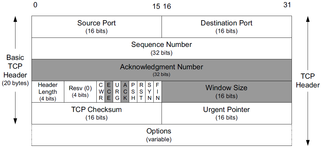 image-20220325091330300